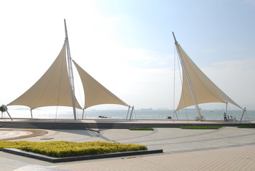 初中必读的经典科普读物