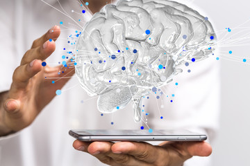 大型猫科动物有哪些