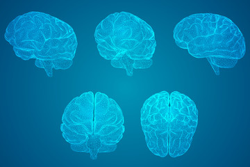 五年级下册科学题现在的家鸡是怎么来的-