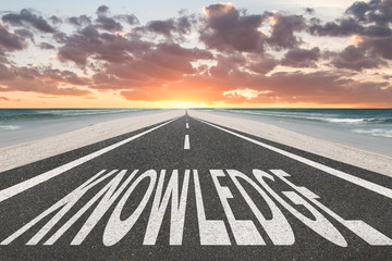 大型猫科动物有哪些