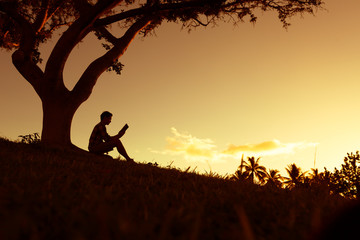 家中放什么花最旺宅（盘点九种旺财又旺宅的植物）