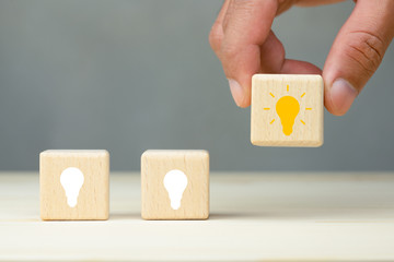 大型猫科动物有哪些