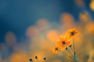 现代诗歌精选（二十篇）