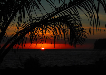 家庭饮食安全常识有哪些