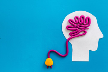 家中放什么花最旺宅（盘点九种旺财又旺宅的植物）