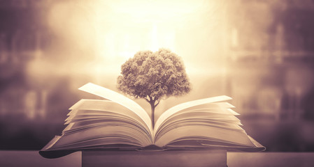 现代诗歌精选（二十篇）