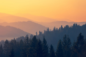 初中必读的经典科普读物