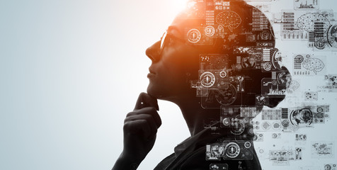 家中放什么花最旺宅（盘点九种旺财又旺宅的植物）