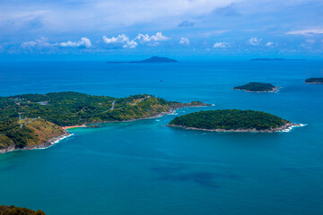 家中放什么花最旺宅（盘点九种旺财又旺宅的植物）