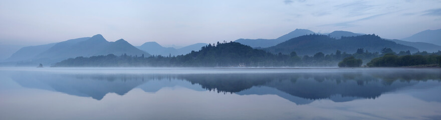 家中放什么花最旺宅（盘点九种旺财又旺宅的植物）