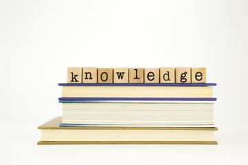 大型猫科动物有哪些