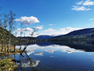 中央一台电视台节目表