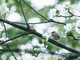现代诗歌精选（二十篇）