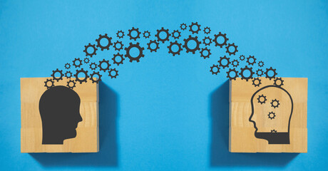 家中放什么花最旺宅（盘点九种旺财又旺宅的植物）