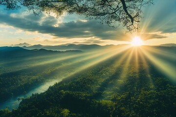 家中放什么花最旺宅（盘点九种旺财又旺宅的植物）
