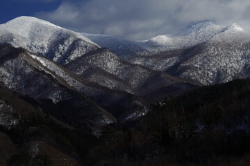现代诗歌精选（二十篇）