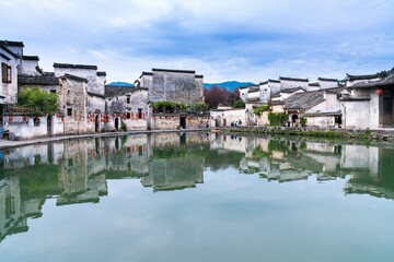 花卉是什么意思