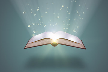 家中放什么花最旺宅（盘点九种旺财又旺宅的植物）