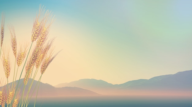 保护环境手抄报简单好看精选