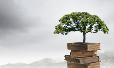 家庭饮食安全常识有哪些