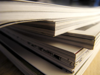 家中放什么花最旺宅（盘点九种旺财又旺宅的植物）