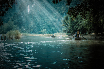 花卉是什么意思